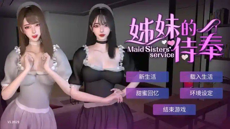 姊妹的侍奉 投资选项 资料图 1